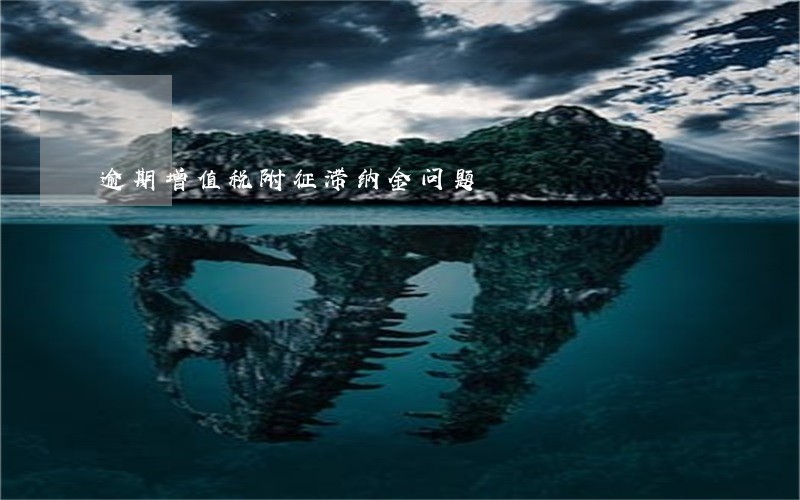 逾期增值税附征滞纳金问题 逾期增值税附征滞纳金问题