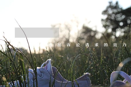 逾期增加诉讼请求的效力