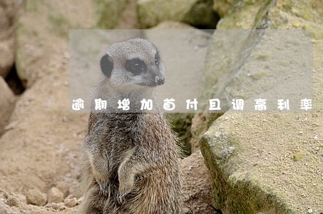 逾期增加首付且调高利率 逾期增加首付且调高利率