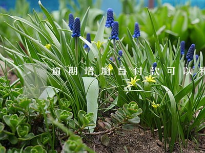 逾期增加首付款可以和银行协商吗 逾期增加首付款可以和银行协商吗
