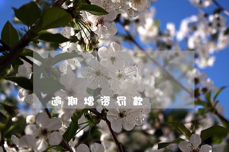 逾期增资罚款 逾期增资罚款
