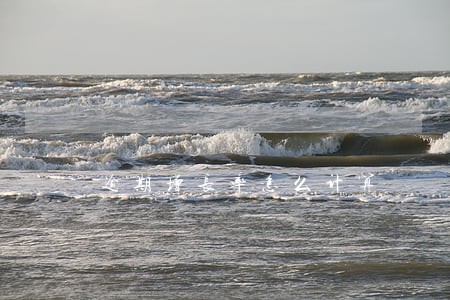 逾期增长率怎么计算 逾期增长率怎么计算