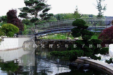 逾期处理5年多了还算黑户吗 逾期处理5年多了还算黑户吗