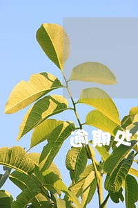逾期处理中心会上门吗 逾期处理中心会上门吗
