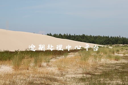 逾期处理中心平台 逾期处理中心平台