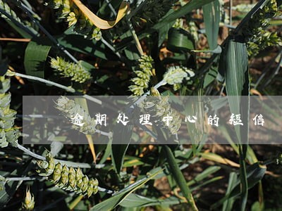 逾期处理中心的短信