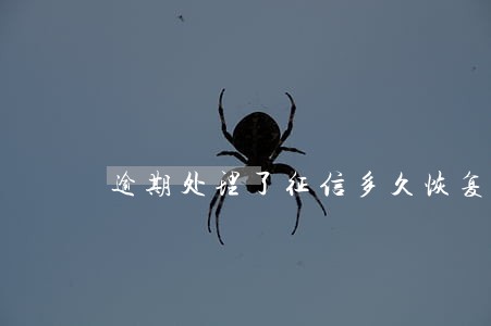 逾期处理了征信多久恢复 逾期处理了征信多久恢复