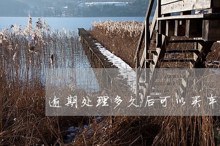 逾期处理多久后可以买车 逾期处理多久后可以买车