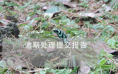 逾期处理提交报告 逾期处理提交报告
