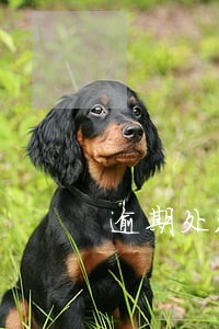 逾期处理本金 逾期处理本金