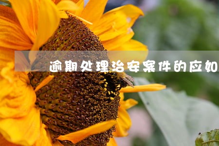 逾期处理治安案件的应如何取消 逾期处理治安案件的应如何取消