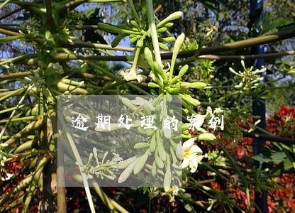 逾期处理的案例 逾期处理的案例