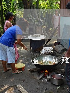 逾期处理违章追加罚款
