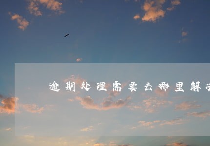 逾期处理需要去哪里解决 逾期处理需要去哪里解决