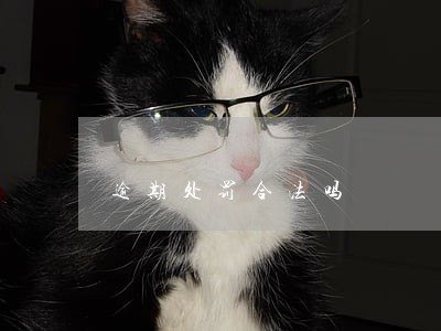 逾期处罚合法吗 逾期处罚合法吗