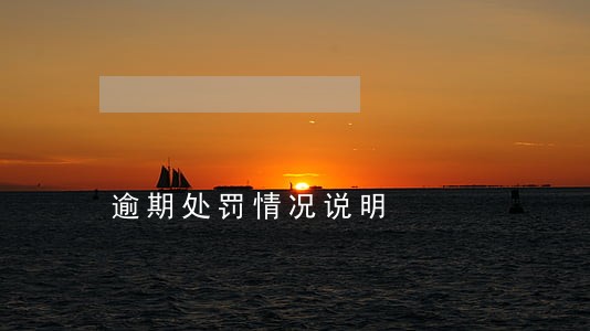 逾期处罚情况说明 逾期处罚情况说明