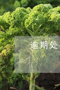 逾期处罚节假日天数计算 逾期处罚节假日天数计算