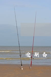 逾期备案情况说明下载