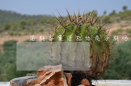 逾期备案还能协商分期吗 逾期备案还能协商分期吗