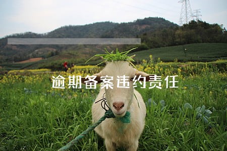 逾期备案违约责任 逾期备案违约责任