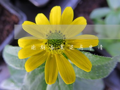 逾期备案退房申请 逾期备案退房申请