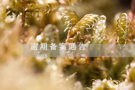 逾期备案通告