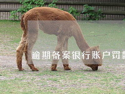 逾期备案银行账户罚款吗 逾期备案银行账户罚款吗