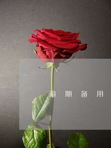 逾期备用金13天要多久可以用 逾期备用金13天要多久可以用
