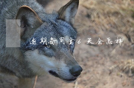 逾期备用金6天会怎样 逾期备用金6天会怎样