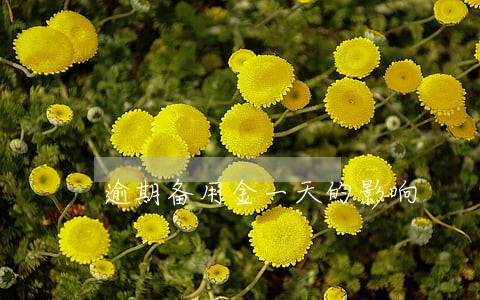 逾期备用金一天的影响 逾期备用金一天的影响
