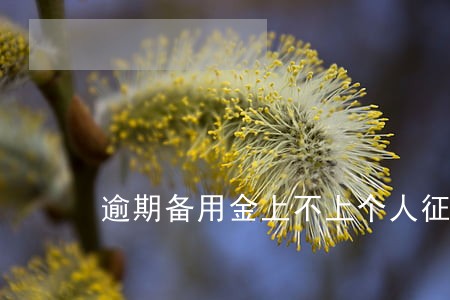 逾期备用金上不上个人征信报告 逾期备用金上不上个人征信报告