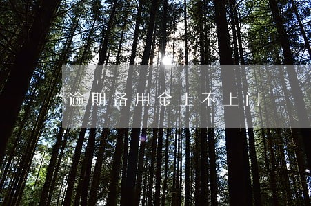 逾期备用金上不上门 逾期备用金上不上门