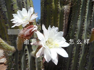 逾期备用金会怎么样