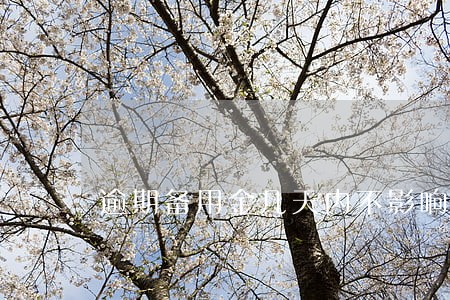 逾期备用金几天内不影响征信 逾期备用金几天内不影响征信