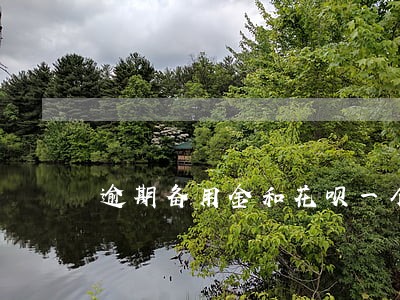逾期备用金和花呗一个月没事吧 逾期备用金和花呗一个月没事吧