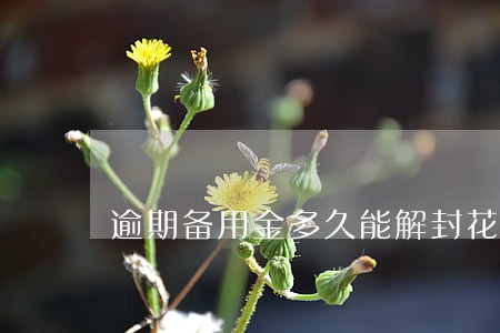 逾期备用金多久能解封花呗 逾期备用金多久能解封花呗