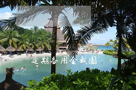逾期备用金截图 逾期备用金截图