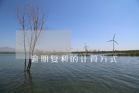 逾期复利的计算方式 逾期复利的计算方式