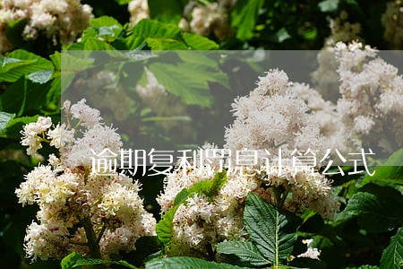 逾期复利罚息计算公式 逾期复利罚息计算公式