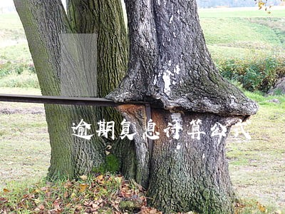 逾期复息计算公式 逾期复息计算公式