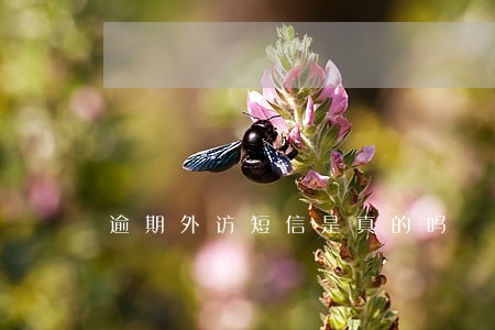 逾期外访短信是真的吗 逾期外访短信是真的吗