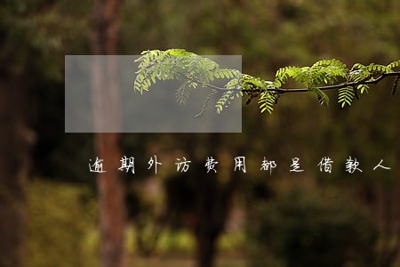 逾期外访费用都是借款人出吗 逾期外访费用都是借款人出吗