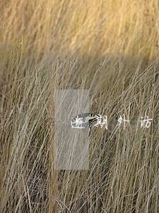 逾期外访通知单 逾期外访通知单