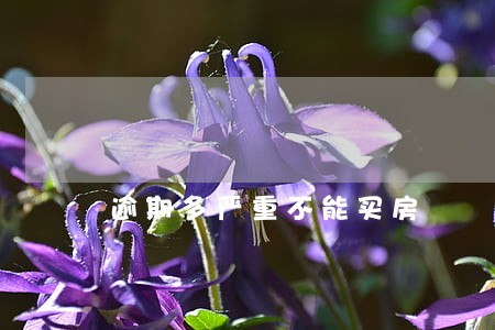 逾期多严重不能买房 逾期多严重不能买房
