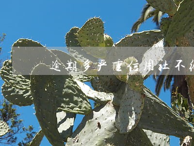 逾期多严重信用社不给贷款 逾期多严重信用社不给贷款