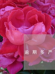 逾期多严重判刑 逾期多严重判刑