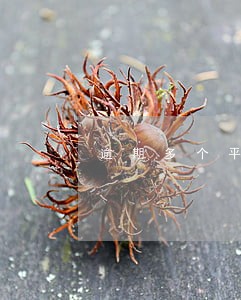 逾期多个平台还不上怎么办 逾期多个平台还不上怎么办
