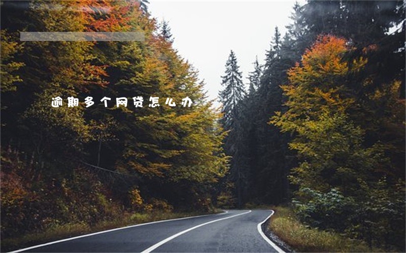 逾期多个网贷怎么办 逾期多个网贷怎么办