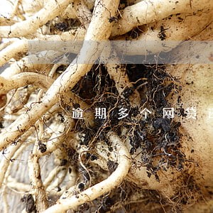 逾期多个网贷还能贷的 逾期多个网贷还能贷的