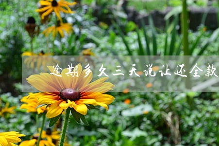 逾期多久三天说让还全款 逾期多久三天说让还全款
